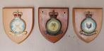 3 R.A.F. Handpainted wapenschilden eik U.K., Ophalen of Verzenden