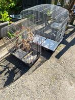 Vogel kooi, Dieren en Toebehoren, Ophalen, Zo goed als nieuw