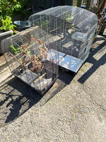 Vogel kooi, Dieren en Toebehoren, Ophalen, Zo goed als nieuw