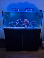 Red Sea Reefer 425 liter te koop aangeboden, Dieren en Toebehoren, Vissen | Aquaria en Toebehoren, Ophalen, Zo goed als nieuw