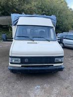 Citroën export foodtruck, Caravans en Kamperen, Mobilhomes, Particulier