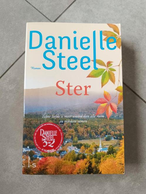 Danielle Steel - Ster, Livres, Romans, Comme neuf, Enlèvement