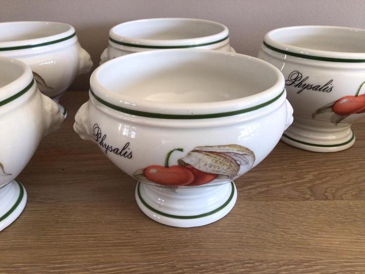 Apilco soeptassen, Elysian garden,  5 stuks, Verzamelen, Porselein, Kristal en Bestek, Zo goed als nieuw, Ophalen of Verzenden