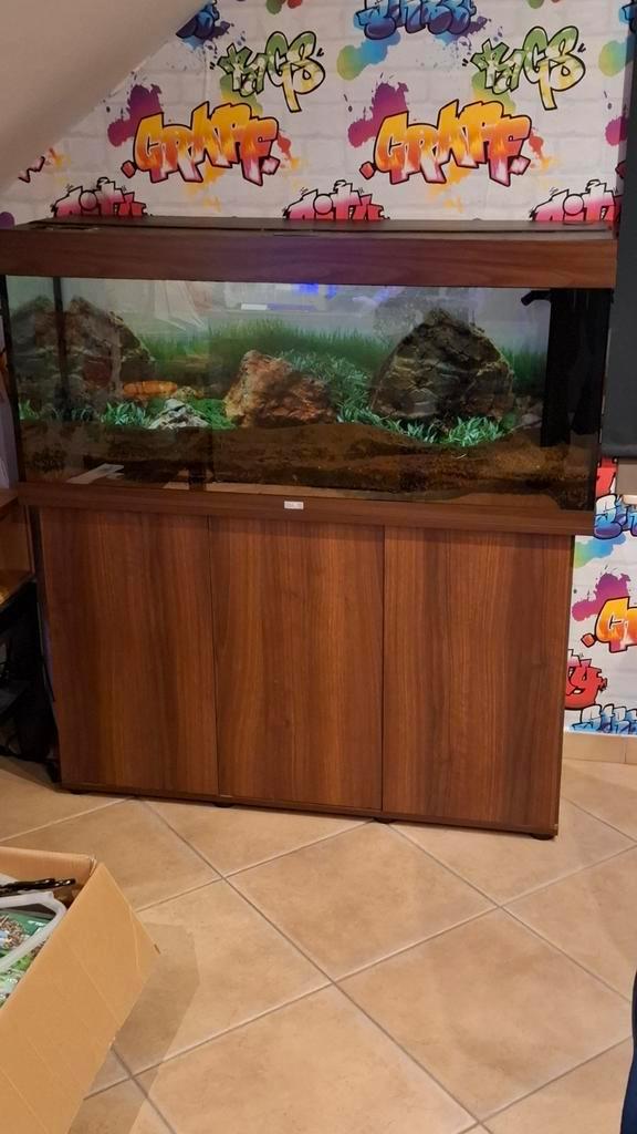 Aquarium juwel 180, Animaux & Accessoires, Poissons | Aquariums & Accessoires, Enlèvement