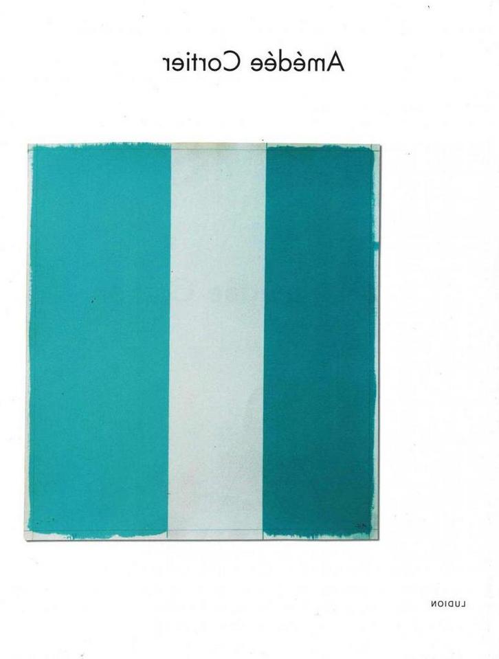 Amedee Cortier / Het merg van de kleur - Eric Pil, Boeken, Kunst en Cultuur | Beeldend, Gelezen, Ophalen of Verzenden