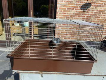 Cage pour lapin nain furet hamster ....., Moins de 60 cm, Cage, Cobaye, Utilisé