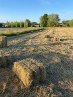 Hooi kleine balen, Zakelijke goederen, Landbouw | Veevoer, Ophalen