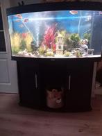 Bijou pour aquarium Vision 260, Enlèvement, Comme neuf