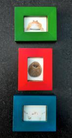 Kleine fotolijstjes (groen, rood, blauw), Enlèvement ou Envoi