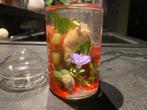Op aanvraag beplante terrariums, Huis en Inrichting, Ophalen