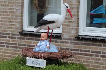 Geboorteborden / ooievaar / ooievaar op nest. beschikbaar voor biedingen