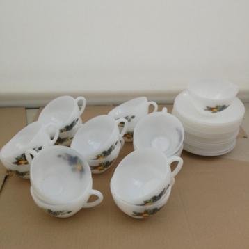 Vintage Arcopal witte fruitmotief thee/koffie kop en schotel beschikbaar voor biedingen