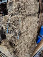3 Grote pakken hooi, Dieren en Toebehoren, Dierenvoeding, Ophalen