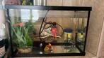 Klein aquarium incl pomp + decoratie, Dieren en Toebehoren, Ophalen, Zo goed als nieuw