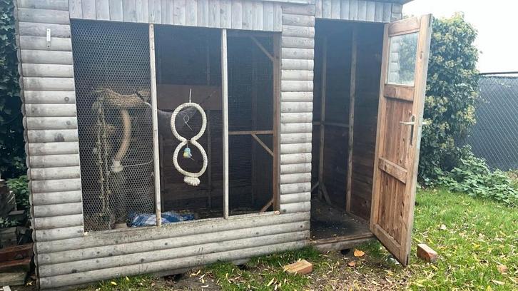 Vogel volière, Dieren en Toebehoren, Vogels | Toebehoren, Ophalen of Verzenden