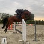 Lesgeven ervaren ruiter aangeboden, Ophalen, Springen