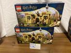 Lego Harry Potter eerste vliegles 76395, Enlèvement ou Envoi, Neuf