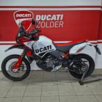 Rallye Ducati DesertX, 950 cm³, Entreprise, Plus de 35 kW, 2 cylindres