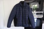 Veste Calvin Klein pour hommes - Taille L - Très bon état, Ophalen, Gedragen, Blauw