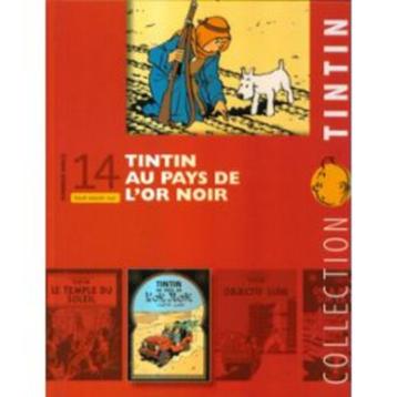 BD "Tout savoir sur Tintin au pays de l'or noir" D. Maricq 