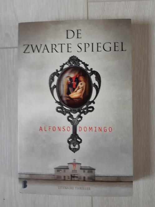 Alfonso Domingo - De zwarte spiegel, Boeken, Thrillers, Zo goed als nieuw, Ophalen of Verzenden
