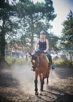 Gezocht. Spring paard, Dieren en Toebehoren, Paarden