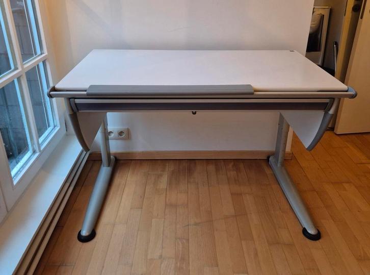 Winnaar van Moll, Huis en Inrichting, Bureaus, Zo goed als nieuw, Bureau, In hoogte verstelbaar, Ophalen