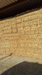 Mooi stro, Dieren en Toebehoren, Ophalen