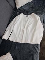 Nieuw jasje merk Accent te koop.M 40, Kleding | Dames, Jasjes, Kostuums en Pakken, Ophalen, Zo goed als nieuw, Jasje
