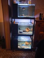 Rack aquarium 3x70x60x40, Dieren en Toebehoren, Ophalen, Gebruikt, Leeg aquarium