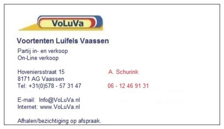 AANBIEDING: DIVERSE MATEN DOREMA VOORTENTEN, Caravans en Kamperen, Voortenten en Luifels, Nieuw, Dorema, Ophalen of Verzenden