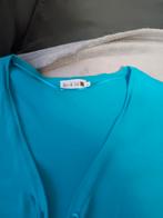 Twin set dames maat large in mooie staat, Kleding | Dames, Truien en Vesten, Ophalen, Overige kleuren, Maat 42/44 (L), Zo goed als nieuw