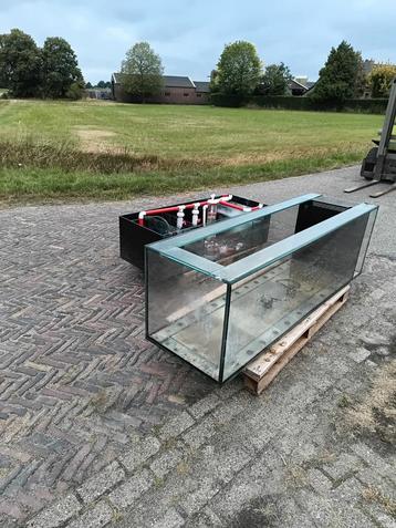 Groot aquarium zeewater overloop bioloog roomdivider  beschikbaar voor biedingen