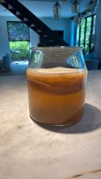 Kombucha scoby, Ophalen