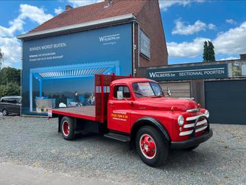 Dodge beschikbaar voor biedingen