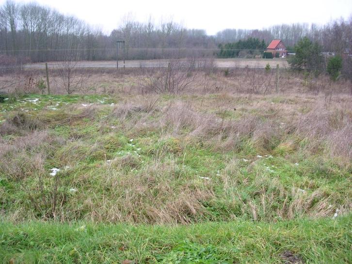 Weide te huur - kan als paardenweide   (mits wat tijd), Animaux & Accessoires, Box & Pâturages, Pâturage, 2 ou 3 chevaux ou poneys