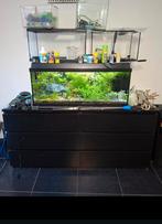 Aquarium set met vissen en planten, Dieren en Toebehoren, Vissen | Aquaria en Toebehoren, Ophalen, Zo goed als nieuw