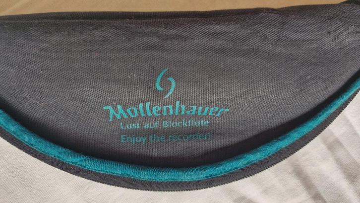 lMollenhauer sopraanblokfluit, Muziek en Instrumenten, Blaasinstrumenten | Blokfluiten, Gebruikt, Sopraan of Sopranino, Kunststof