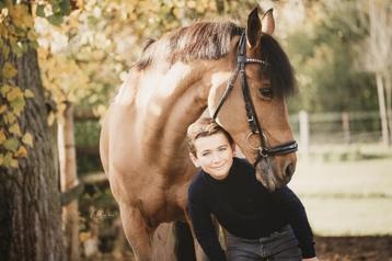 Fotoshoot van je paard  beschikbaar voor biedingen