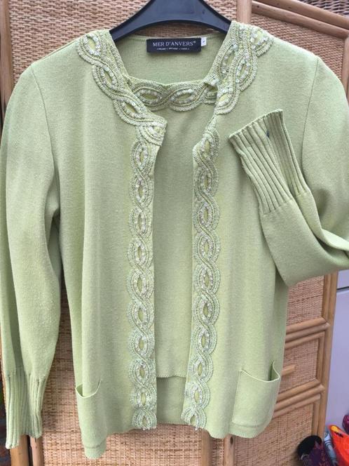Vestje en shirtje, Kleding | Dames, Truien en Vesten, Zo goed als nieuw, Maat 38/40 (M), Groen, Ophalen of Verzenden
