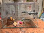 Hamsterkooi uit glas en tralies (zo goed als nieuw), Kooi, Minder dan 75 cm, Zo goed als nieuw, Hamster