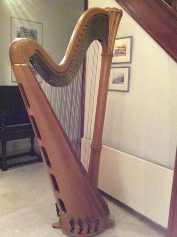 Harpe Salvi Diana, Musique & Instruments, Enlèvement, Utilisé