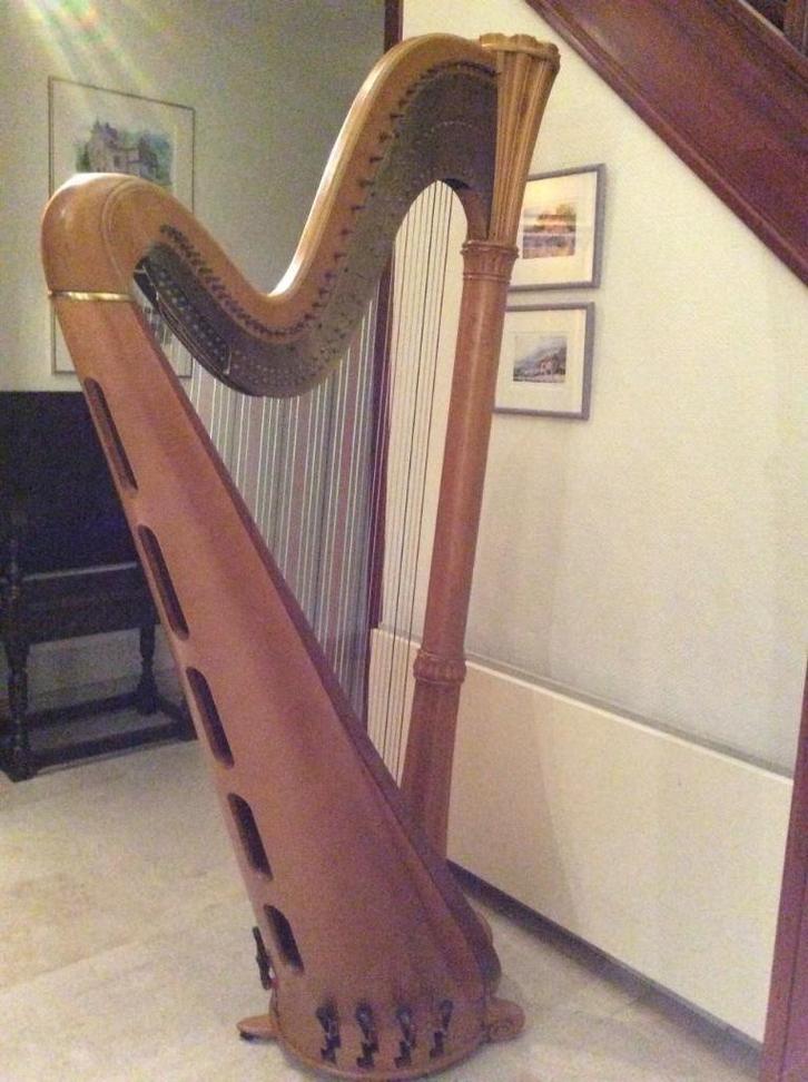 Salvi Diana harp, Muziek en Instrumenten, Snaarinstrumenten | Harpen, Gebruikt, Ophalen