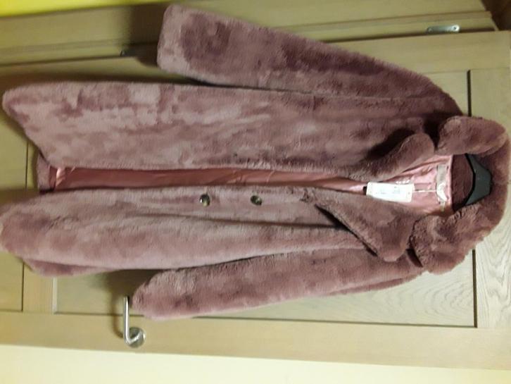 Jas esqualo maat 42 nieuw 3de prijsdaling, Kleding | Dames, Jassen | Winter, Zo goed als nieuw, Maat 42/44 (L), Bruin, Ophalen of Verzenden