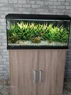 Aquarium juwel Primo