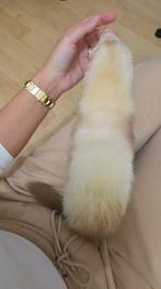 Fretje, Dieren en Toebehoren, Knaagdieren, Fret, Vrouwelijk, Tam, September