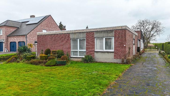 Bungalow met grote werkplaats en weide op 42 are in Alken, Immo, Huizen en Appartementen te koop, Provincie Limburg, 1500 m² of meer