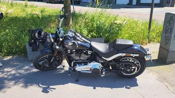 Harley davidson sportglide beschikbaar voor biedingen