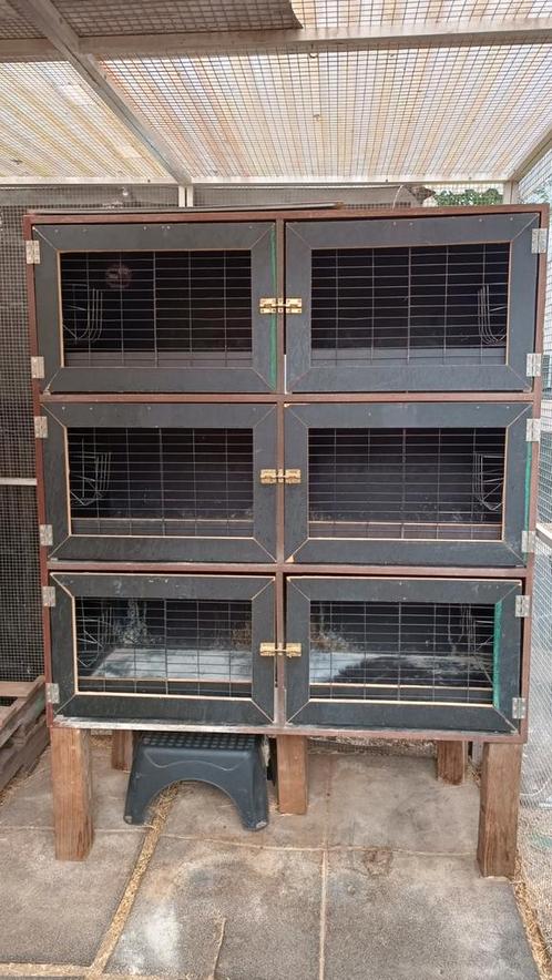Konijnenflat - konijnenhokken, Dieren en Toebehoren, Knaagdieren en Konijnen | Hokken en Kooien, Zo goed als nieuw, Hok, 90 cm of meer