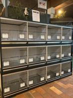 Aluminium kweek- & vluchtkooien, Ophalen, Nieuw, Aluminium, Broedkooi of Kweekkooi